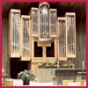 Orgel Tampa